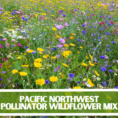Pacific Northwest Pollinator Wildflower Mixture