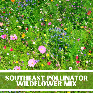 southeast pollinator wildflower seed mix Southeast Pollinator Wildflowers