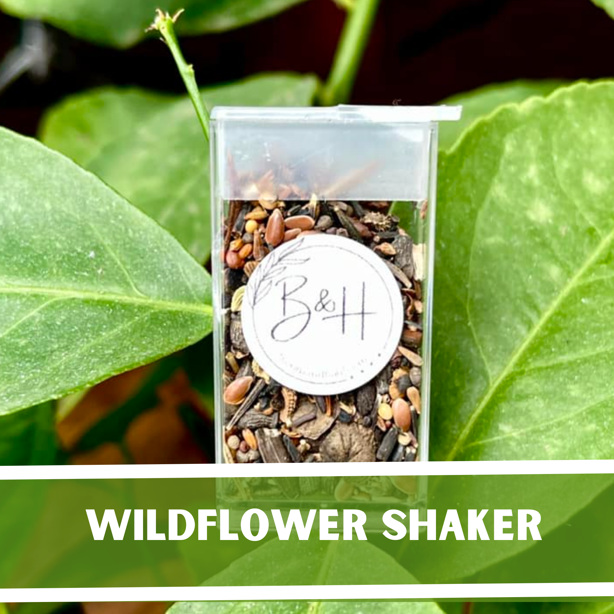 flower seed shaker Wildflower Shaker