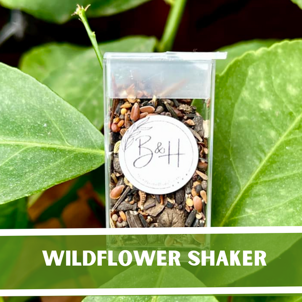 Wildflower Shaker - Over 1000 Seeds
