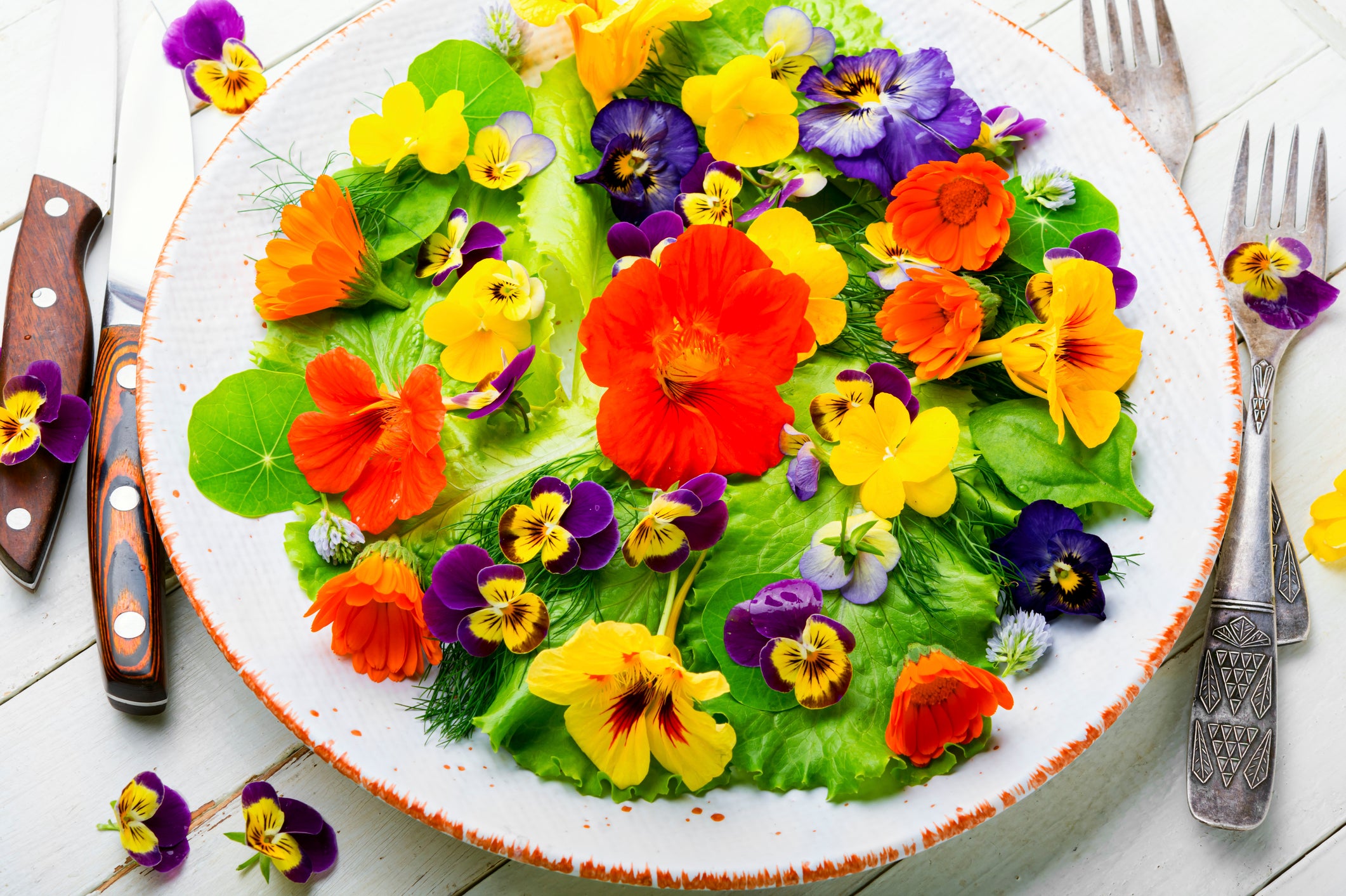 edible beauties flower mix seeds Edible Flower Seed Mix – Bloom + Haul